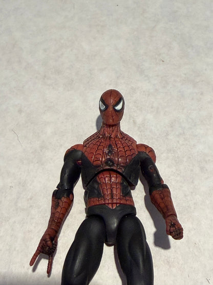 Marvel Universe Spider-Man