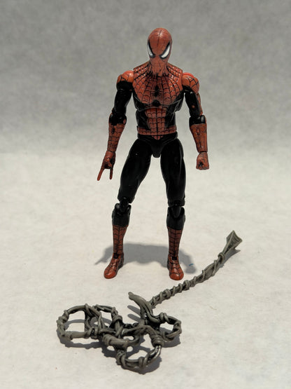 Marvel Universe Spider-Man