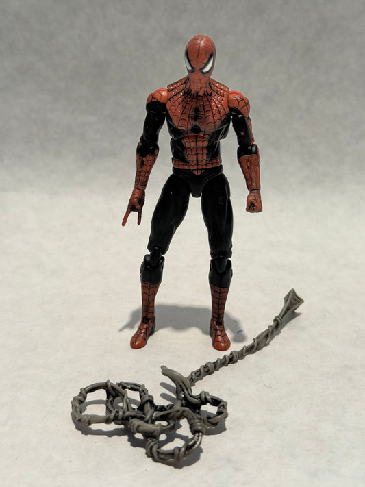Marvel Universe Spider-Man
