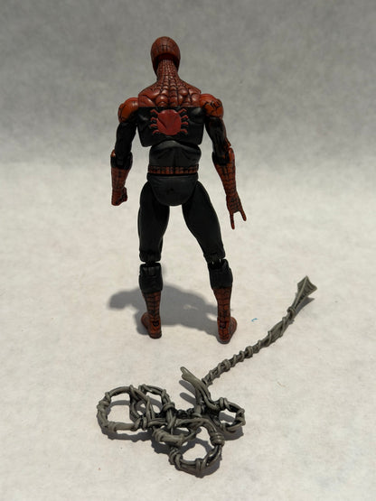 Marvel Universe Spider-Man